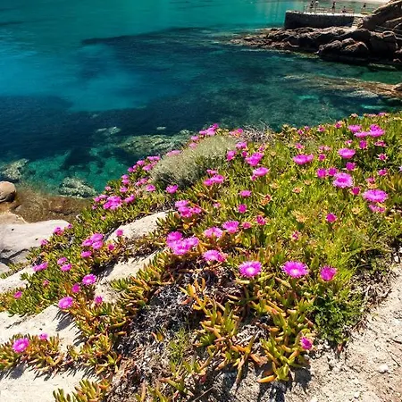 Denise 6 アパート SantʼAndrea